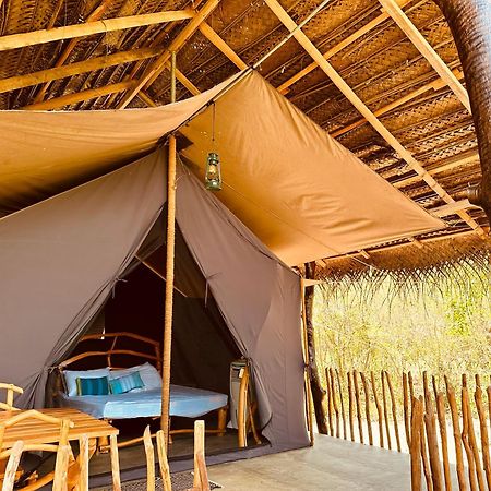 Ranakeliya Lodge - Yala Exterior photo